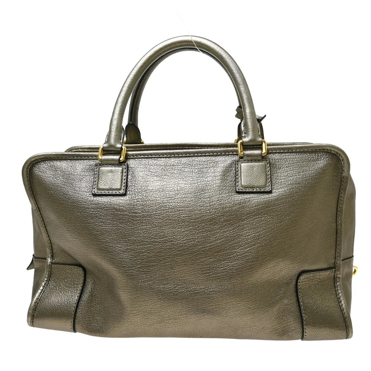 Loewe Amazona Leather Gold Leather Handbag (Pre-Owned)