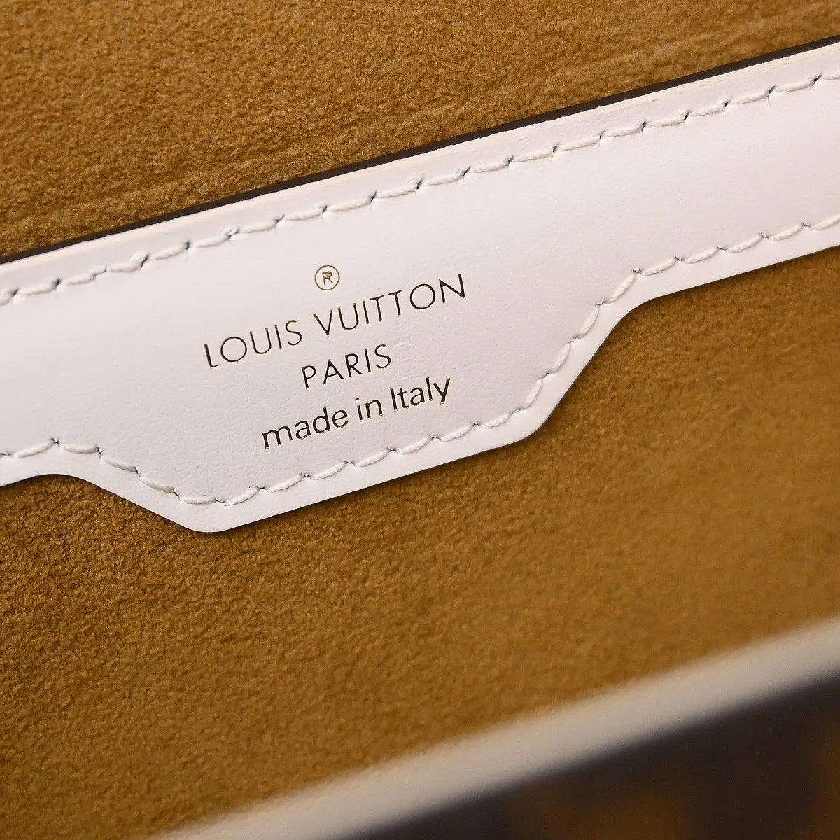 Louis Vuitton Papillon Trunk Lv Match Monogram Canvas Brown Canvas Shoulder Bag Bag (Pre-Owned)