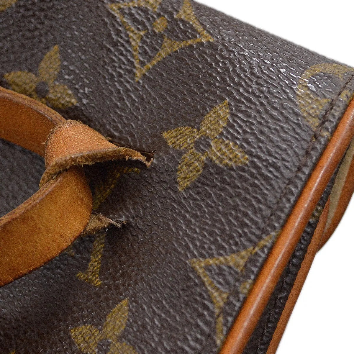 Louis Vuitton Florentine Waist Monogram Canvas Brown Canvas Clutche & Pouche Bag (Pre-Owned)