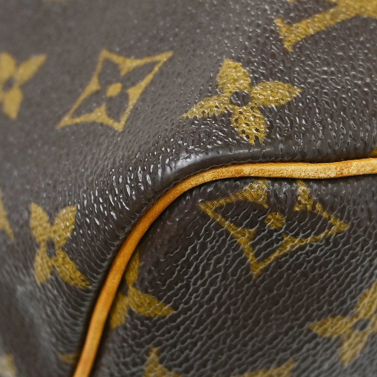 Louis Vuitton Speedy Monogram Canvas Brown Canvas Handbag (Pre-Owned)